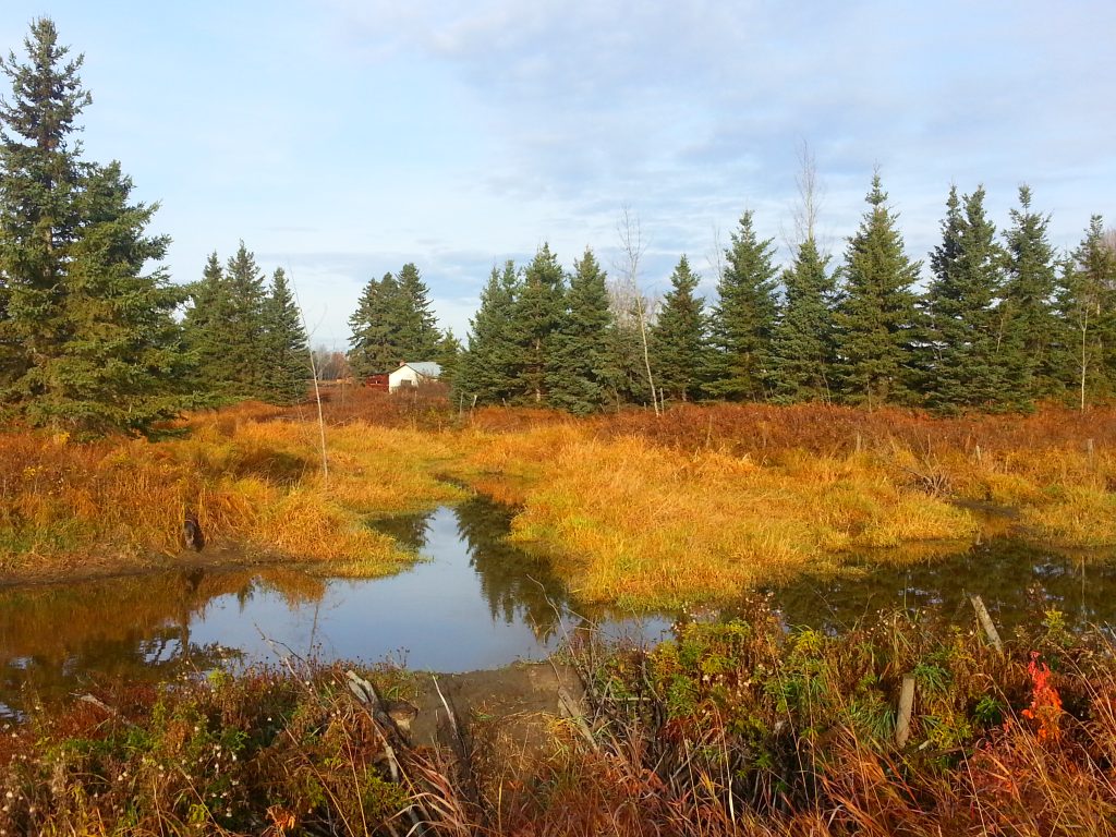 20141016_102121