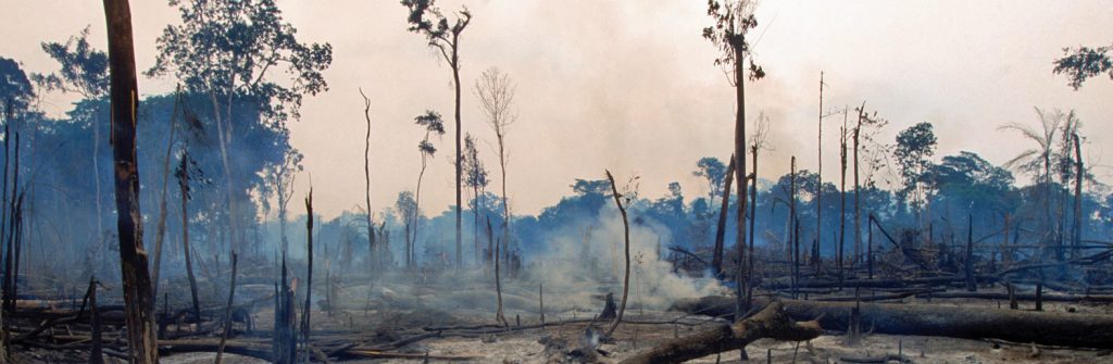 Amazon_burning_forest
